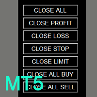 Close Button MT5