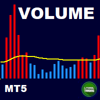 LT Volume