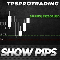 Show Pips for MT5