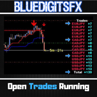 BlueDigitsFx Open Trades MT5